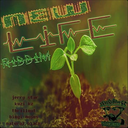Various Artists - New Life Riddim
