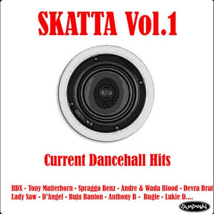 Various Artists - Skatta Vol. 1 - Big Current Hits
