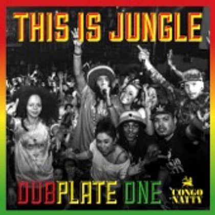Congo Natty - This Is Jungle